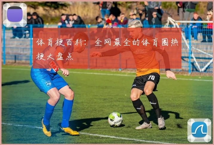 体育梗百科：全网最全的体育圈热梗大盘点